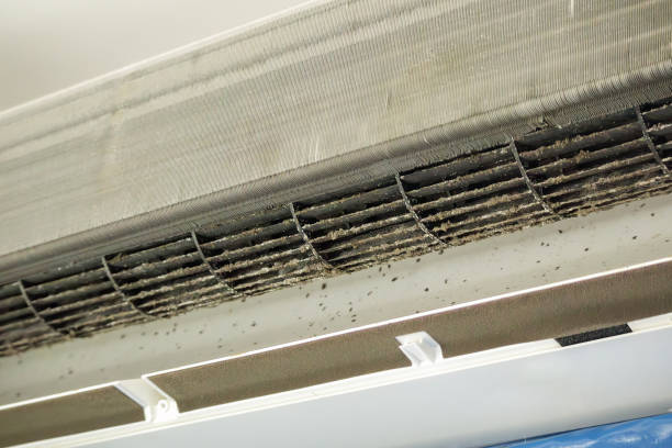 Best Commercial Air Duct Cleaning  in Prospect Rk, PA
