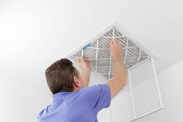 Best Local Air Duct Cleaning Services  in Prospect Rk, PA